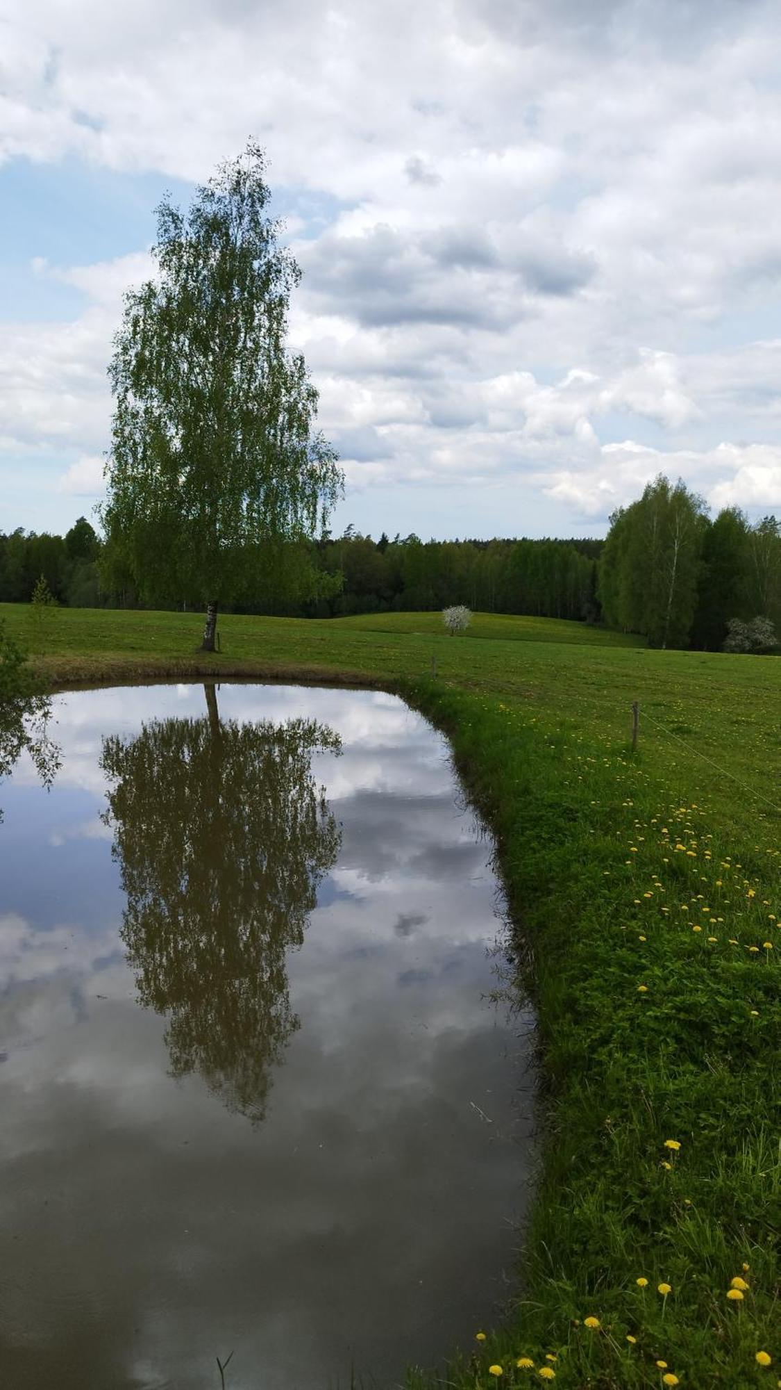 Guesthouse, Sauna & Jacuzzi In Gauja Valley - Kakukalns Straupe 외부 사진